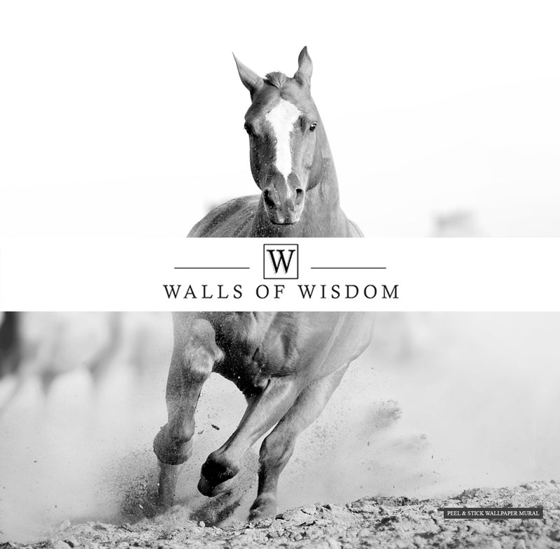 Majestic wild horse mural in black and white, perfect for creating dramatic accent walls.
