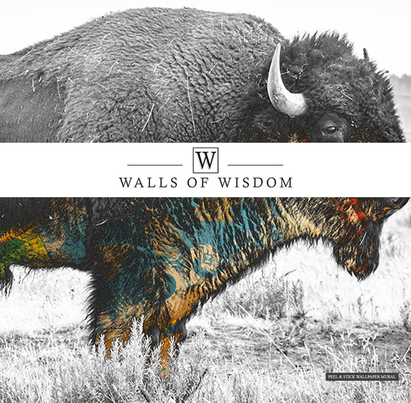Vintage-inspired buffalo mural in black and white with colorful Indian motifs.