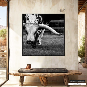 Texas Longhorn peel and stick wallpaper mural for rustic western decor