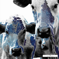 Artistic blue-toned cow canvas print, blending city farmhouse charm with rustic Western influence.