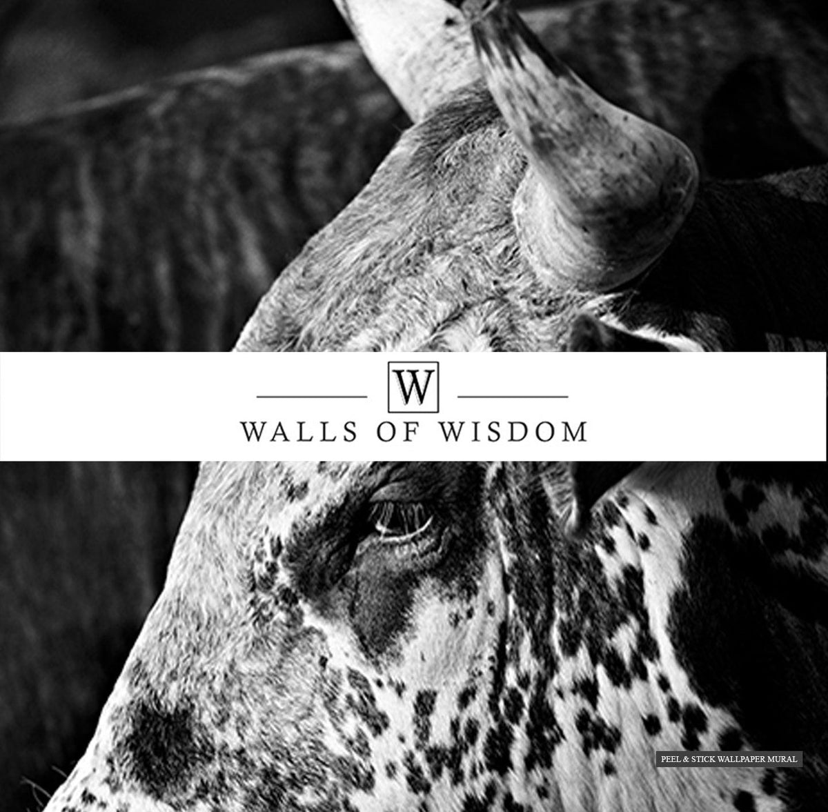 Dynamic Rodeo Bull Wallpaper Mural, perfect for Western decor themes