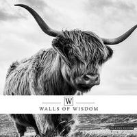 Highland cow photo wallpaper mural for modern farmhouse living room