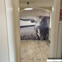 Peel and stick wallpaper with Texas Longhorn in sepia - perfect for ranch homes