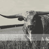 Close-up of Texas Longhorn in sepia tone wallpaper art for Western decor