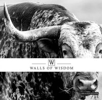 Western Wallpaper Cowboy Decor Mural of Longhorn Bull