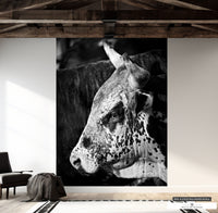 Monochrome wall art of a bull, enhancing rustic country-style interiors.