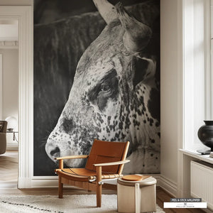 Rodeo Bull Western Decor black white photo wallpaper mural. 
