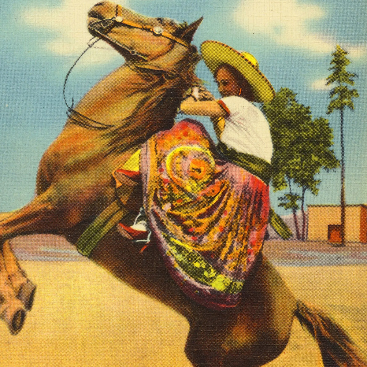 Mexican Charra cowgirl wall art print with traditional dress, bold colors, and Western heritage.