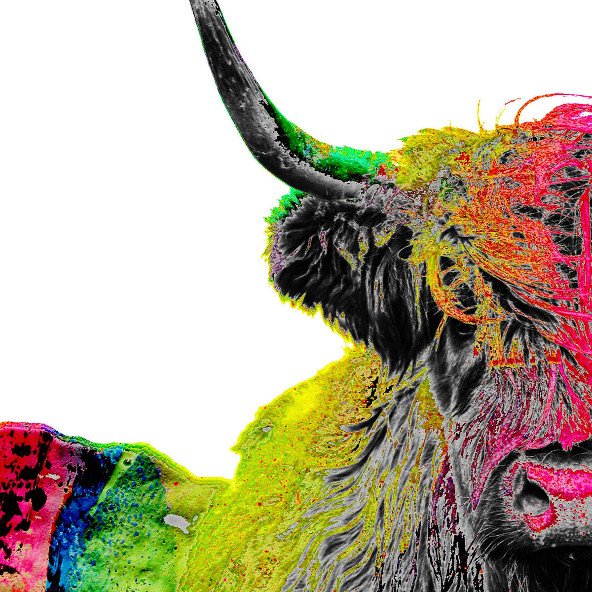 Highland cow canvas art with bright, fluorescent hues, ideal for maximalist, eclectic, and Western bohemian homes.