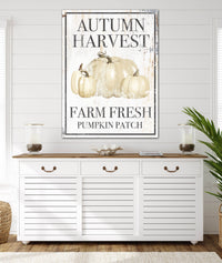 White Autumn Harvest Pumpkin Patch Canvas Wall Art - PC23