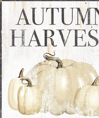 White Autumn Harvest Pumpkin Patch Canvas Wall Art - PC23