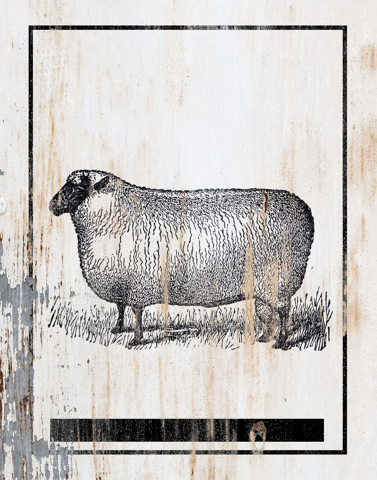 Canvas - Sheep Farm 125 11x14