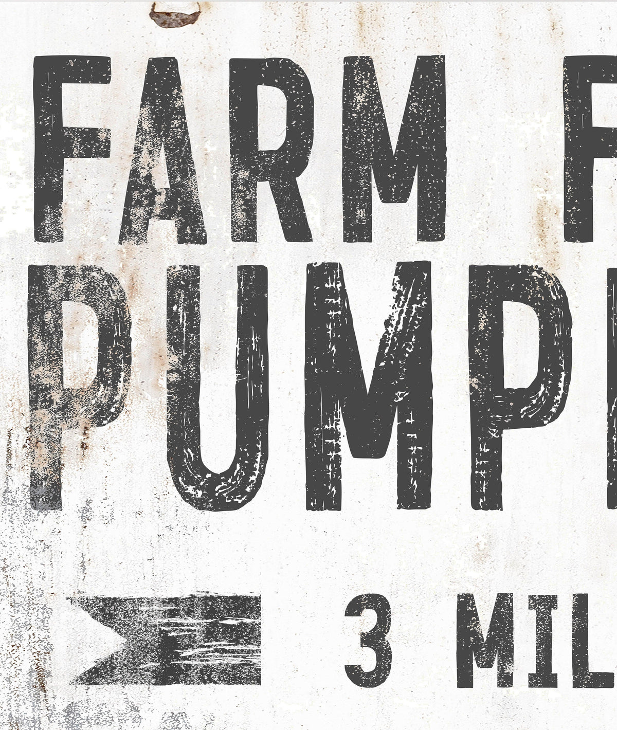 Farm Fresh Pumpkins White Farmhouse Canvas Wall Art - LC56