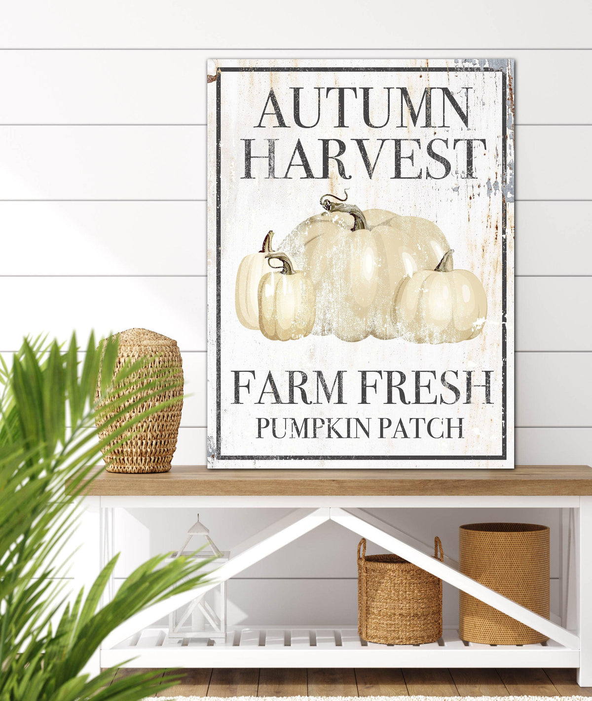 White Autumn Harvest Pumpkin Patch Canvas Wall Art - PC23